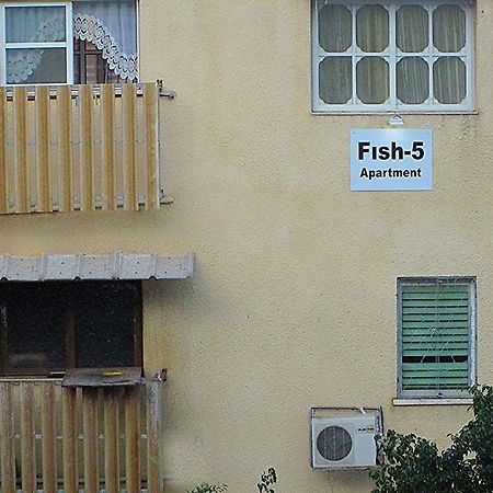 Fish 5 Apartment Tiberya Oda fotoğraf