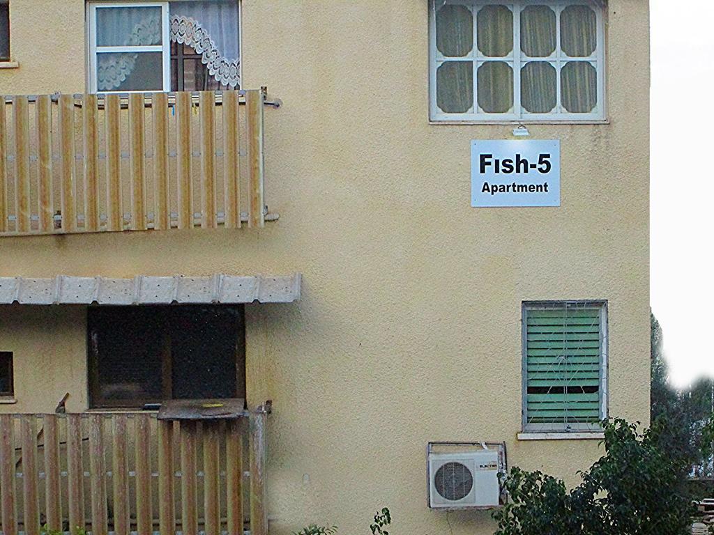 Fish 5 Apartment Tiberya Oda fotoğraf